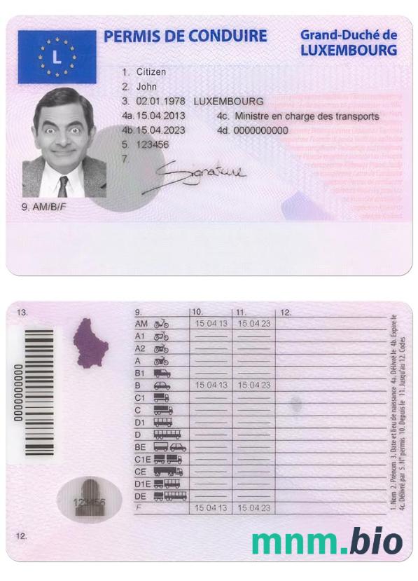 Luksemburski szablon prawa jazdy w formacie PSD, ze wszystkimi czcionkami